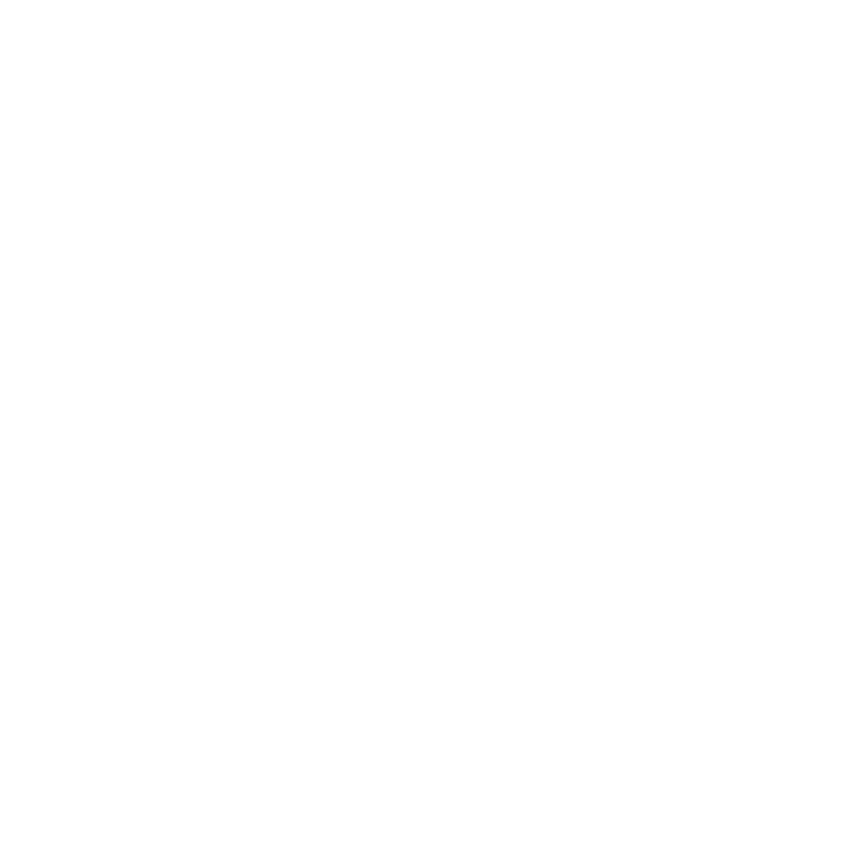 Visionドングル