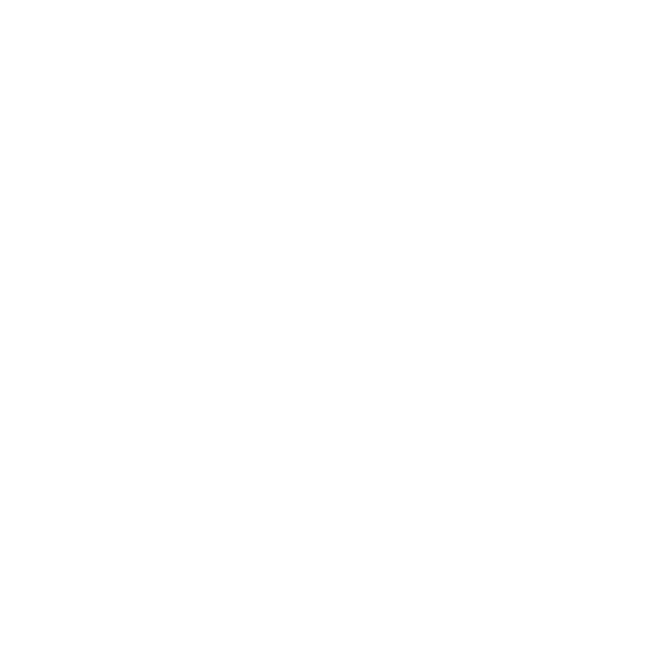 Detachable Mic